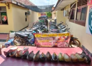 Polisi Gerebek Arena Sabung Ayam, Puluhan Sepeda Motor dan Ayam Aduan Diamankan