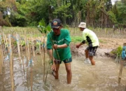 Dampak Nyata Lindungi Hutan: Tanam 978.000 Pohon di Indonesia