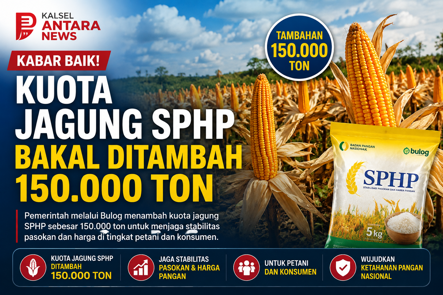 Kabar Baik! Kuota Jagung SPHP Bakal Ditambah 150.000 Ton